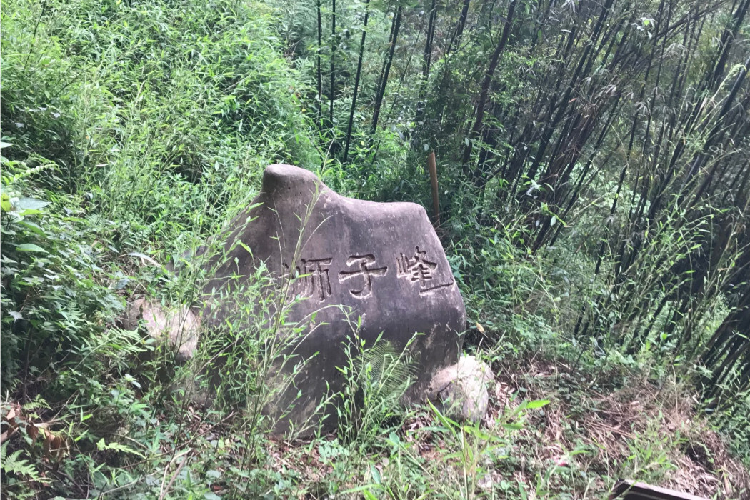 獅子峰(自貢市富順縣李橋鎮五條溝境內景點) 獅子峰(自貢市富順縣李橋鎮五條溝境內景點)