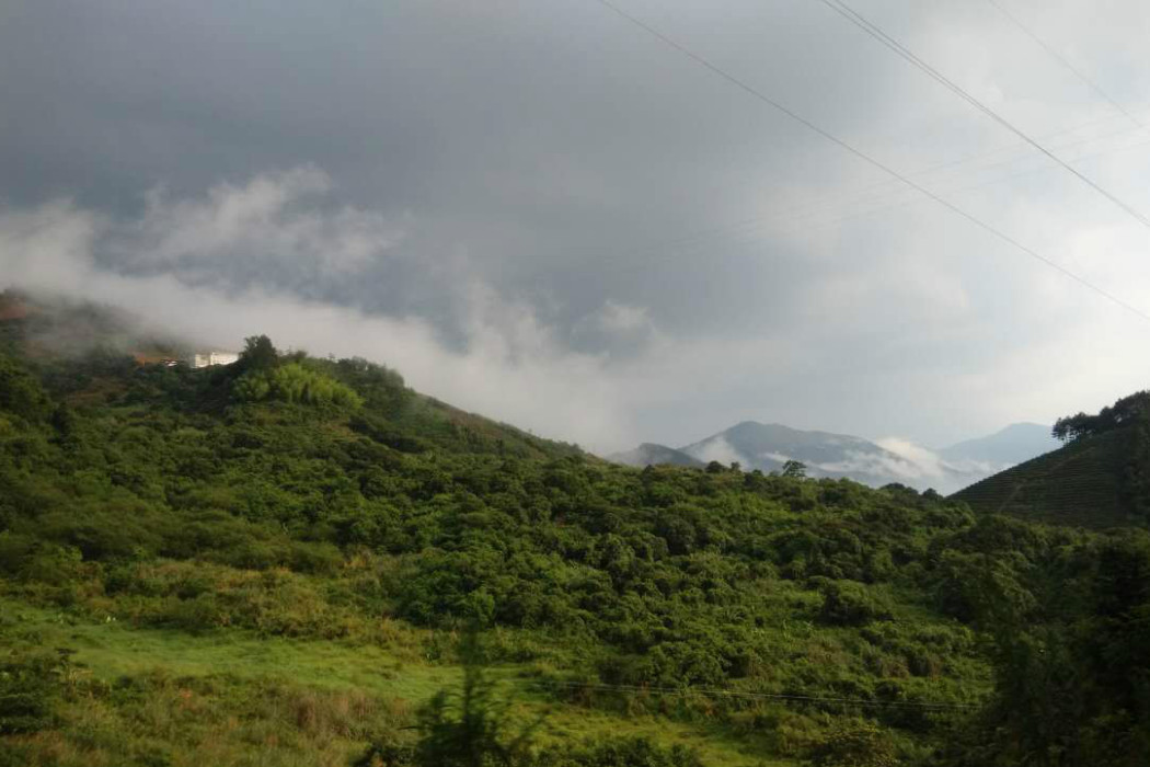 官畲村 官畲村
