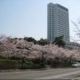 又石大學 又石大學