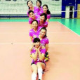 北汽女排 北汽女排