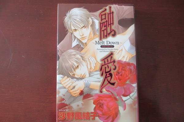 融愛 ~Melt Down~ 融愛 ~Melt Down~