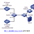 Voice VLAN Voice VLAN