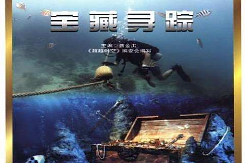 寶藏尋蹤(2013年武漢大學出版社出版的圖書) 寶藏尋蹤(2013年武漢大學出版社出版的圖書)