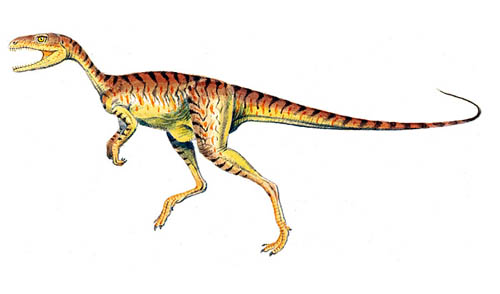 欽迪龍 chindesaurus