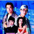 非常女警(1998年香港亞洲電視版石修主演電視劇)