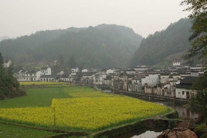 洪濟村 洪濟村