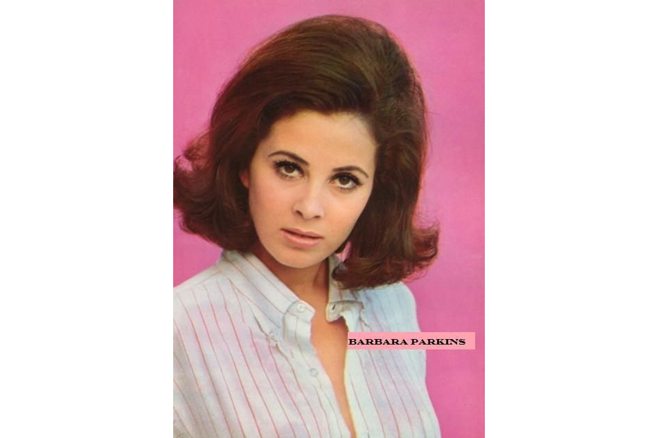 芭芭拉·帕金斯(Barbara Parkins) 芭芭拉·帕金斯(Barbara Parkins)