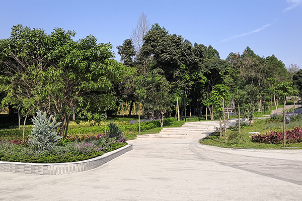 沙浦公園 沙浦公園