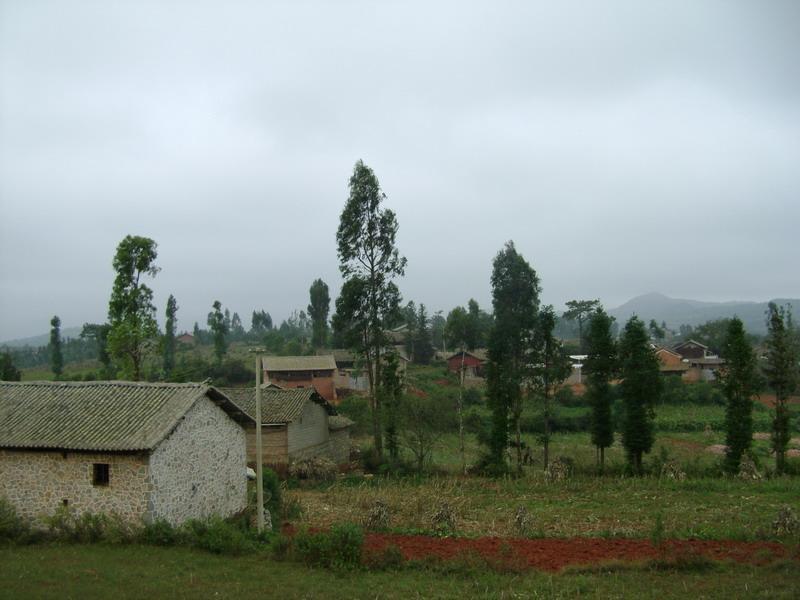 得基村(得基自然村) 得基村(得基自然村)