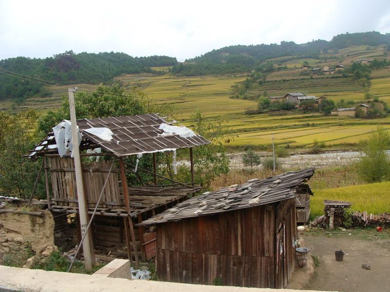 哨沖村 哨沖村