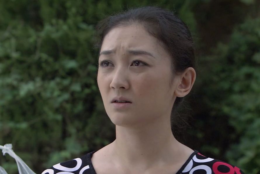 楊杜鵑(電視劇《接班女婿》中的角色) 楊杜鵑(電視劇《接班女婿》中的角色)