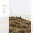 我在等(林寶馨演唱歌曲) 我在等(林寶馨演唱歌曲)