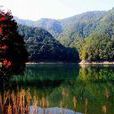 江蘇南山國家森林公園(南山（江蘇鎮江南山）)