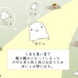 小鳥沏茶 小鳥沏茶