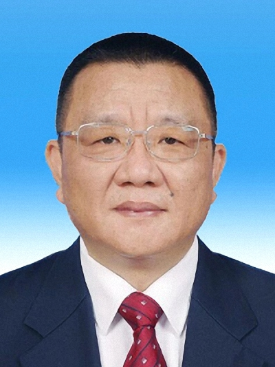 徐險峰(廣東省東莞市國資委副主任) 徐險峰(廣東省東莞市國資委副主任)