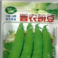 晉豌豆4號 晉豌豆4號