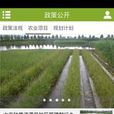 雲南生態農業