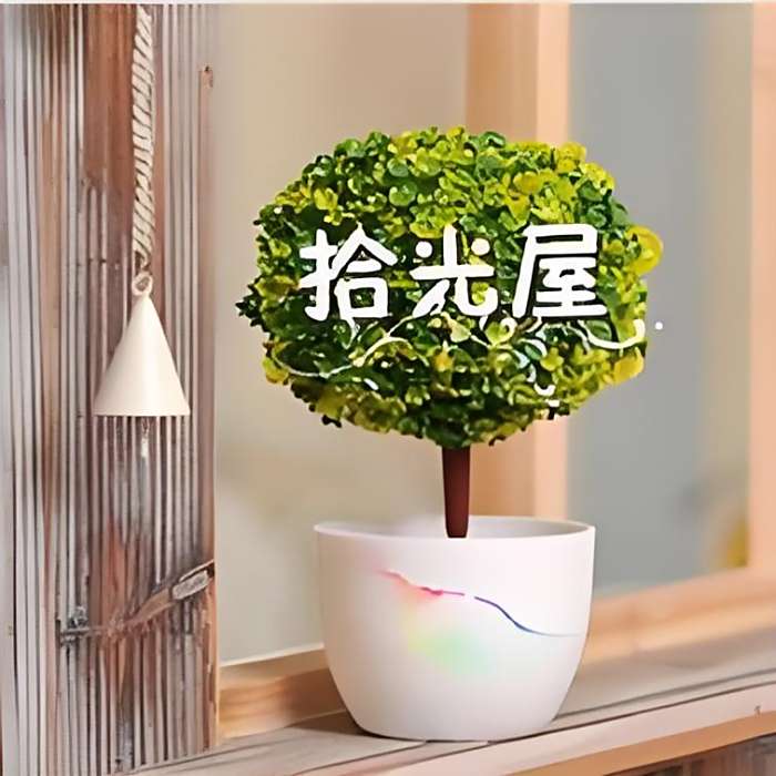 拾光屋 拾光屋