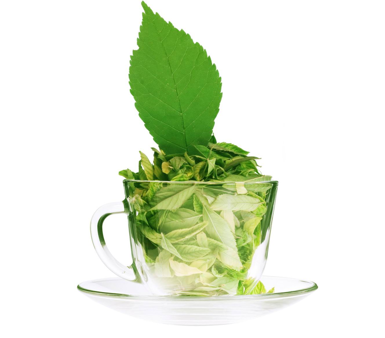 綠茶酒