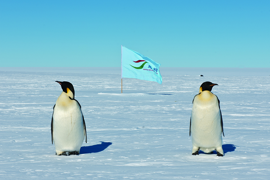 鳥網副總版主順其自然把鳥網旗幟插在南極