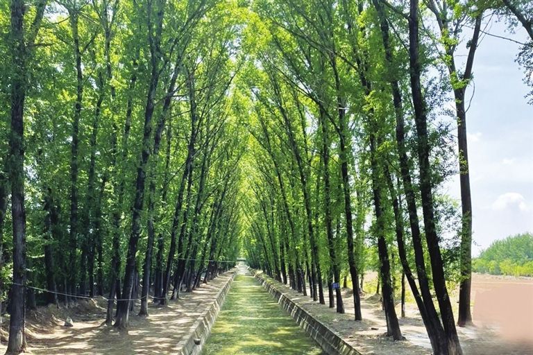 西乾渠(中國山西省太原市境內河道) 西乾渠(中國山西省太原市境內河道)