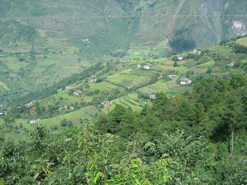 叢崗自然村 叢崗自然村