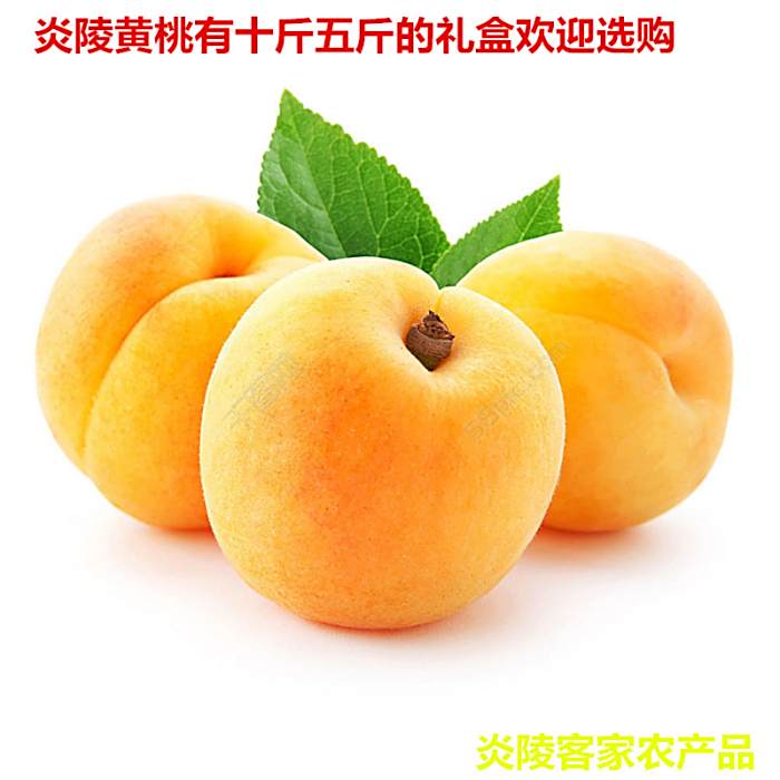 多彩旅行 多彩旅行