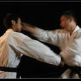 背手拳 背手拳