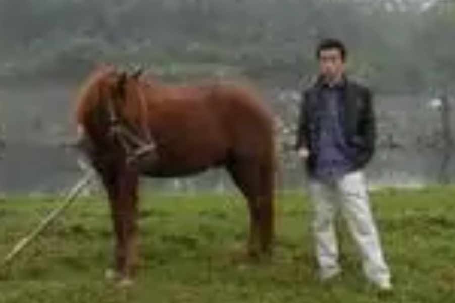 懷陳 懷陳