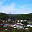 董嶺村(浙江省湖州市安吉縣上墅鄉下轄村) 董嶺村(浙江省湖州市安吉縣上墅鄉下轄村)