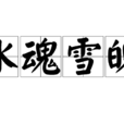 冰魂雪魄 冰魂雪魄