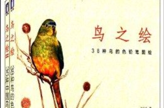 鳥之繪：38種鳥的色鉛筆圖繪+鳥之繪