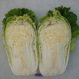 京翠75號 京翠75號