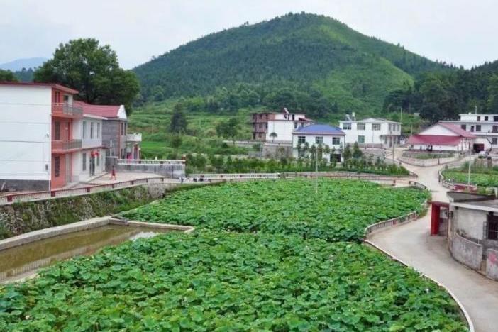 南坑村(江西省蘆溪縣南坑鎮下轄行政村) 南坑村(江西省蘆溪縣南坑鎮下轄行政村)