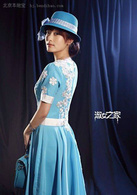 淑女之家(2015年林清振、林龍執導電視劇)