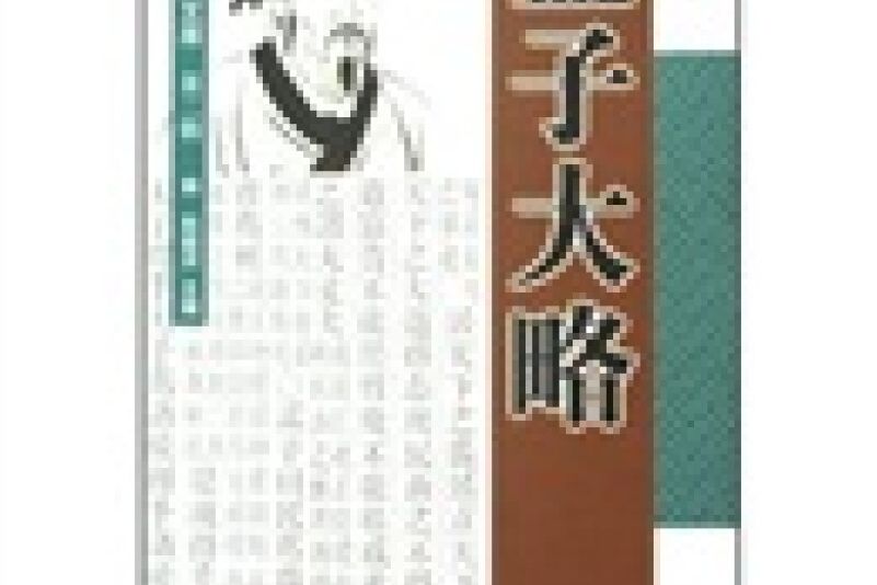 孟子大略(圖書) 孟子大略(圖書)