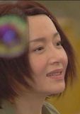 法內情2002(法內情（2002年黃日華主演電視劇）)