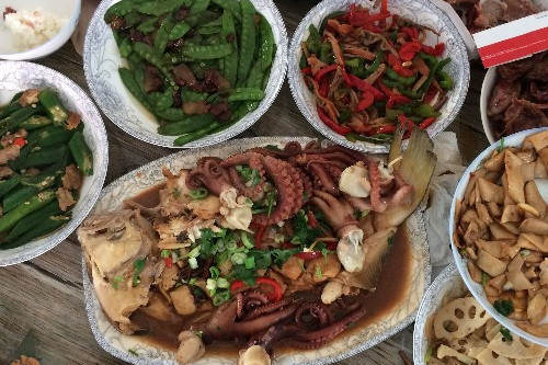 重陽菜 重陽菜