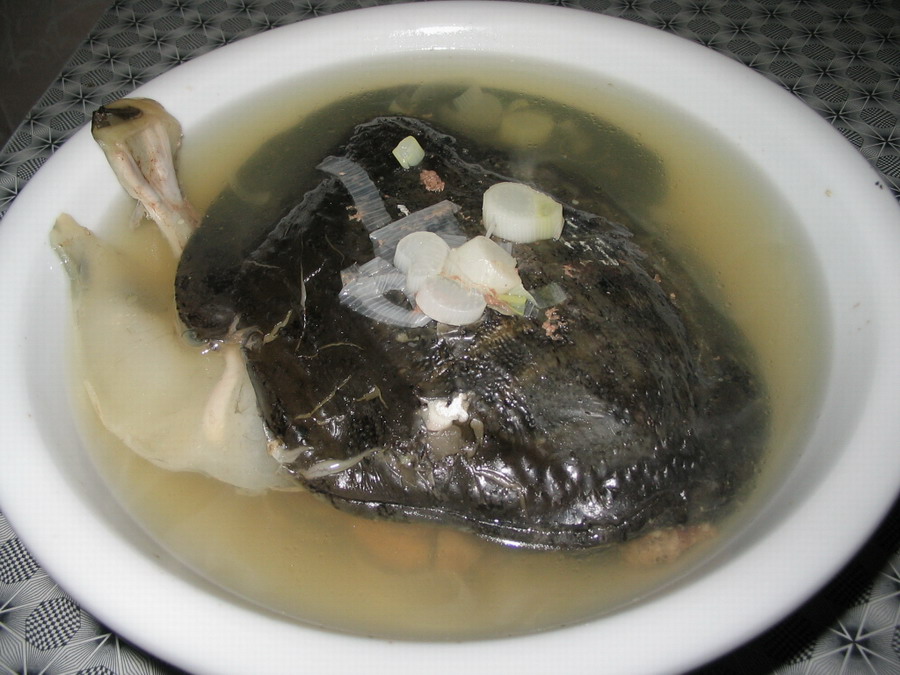甲魚湯