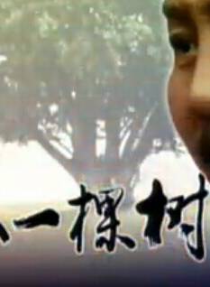 田璐菡 田璐菡