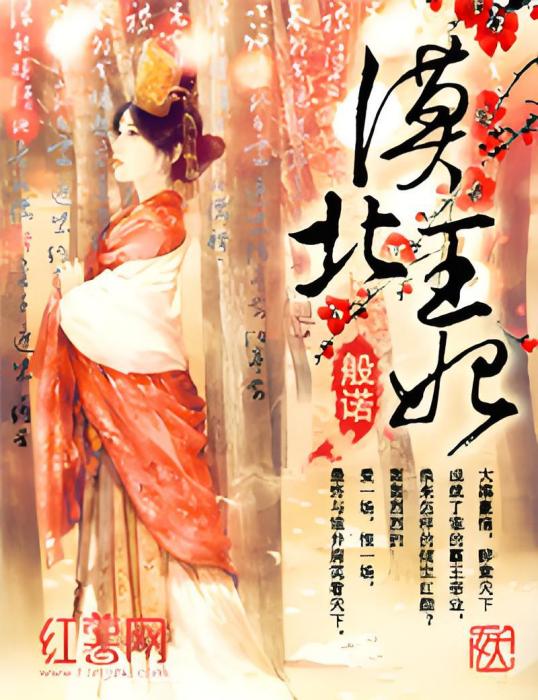 漠北王妃 漠北王妃