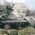 東慶寺 東慶寺