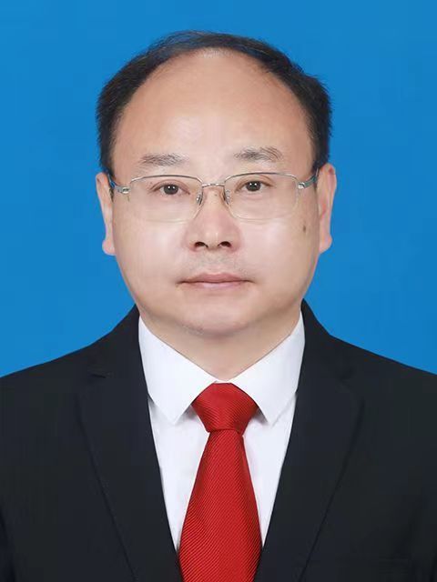 魏代龍(安徽省無為市無城鎮黨委副書記、鎮長) 魏代龍(安徽省無為市無城鎮黨委副書記、鎮長)