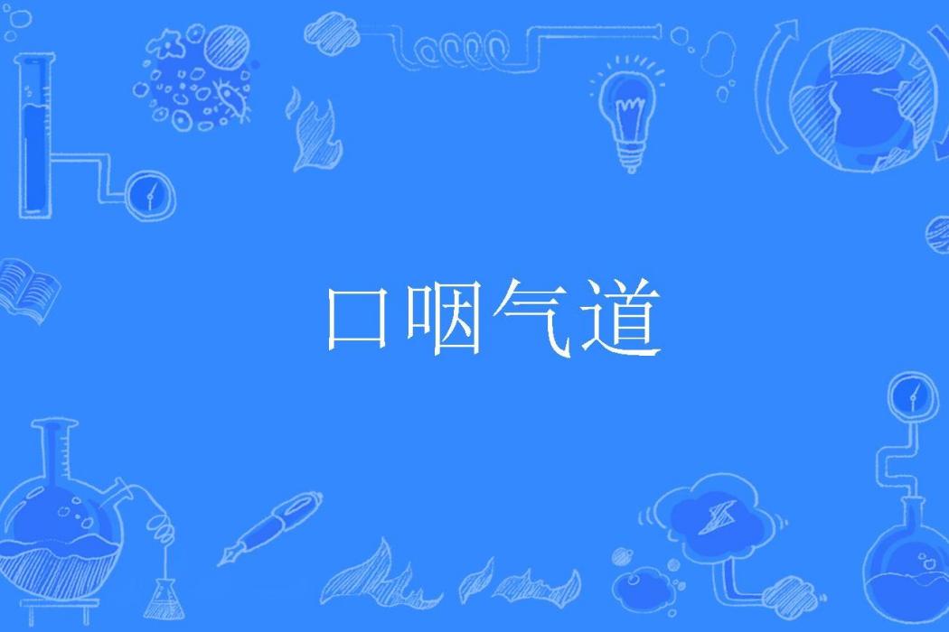 口咽氣道 口咽氣道