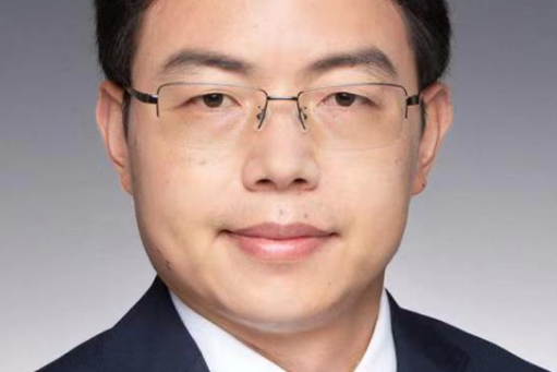 張曉平(武漢大學土木建築工程學院教授) 張曉平(武漢大學土木建築工程學院教授)