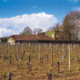 Chateau Trotanoy Chateau Trotanoy