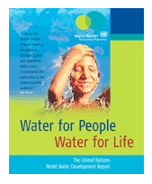 第一版世界水發展報告