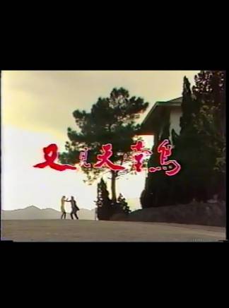 張晨光 張晨光