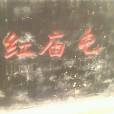 紅廟屯村 紅廟屯村
