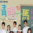 青梅竹馬(2009年蔡東文、余蒨蒨等執導電視劇) 青梅竹馬(2009年蔡東文、余蒨蒨等執導電視劇)